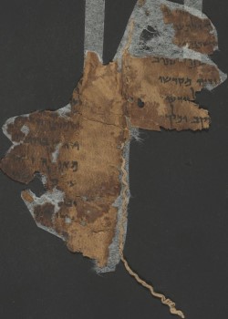 4Q216, לוח 385, פרג 11, B-361564 צלם: שי הלוי © רשות העתיקות.