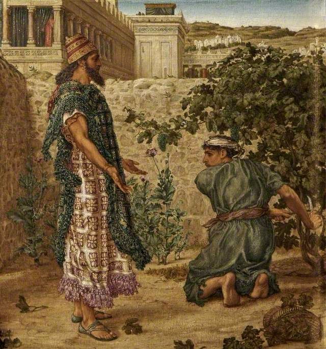 סיפור כרם נבות והיקב העתיק ביזרעאל