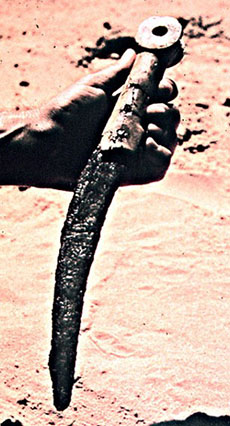  סכין ברזל עם ידית שנהב ומסמרות ברונזה מתל מקנה/עקרון. המכון לארכיאולוגיה, ארכיון התמונות של האוניברסיטה העברית בירושלים.