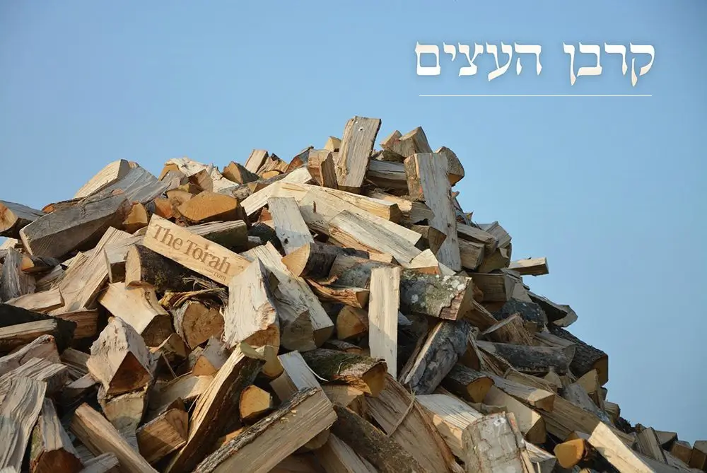 חג קורבן העצים – "ככתוב בתורה"