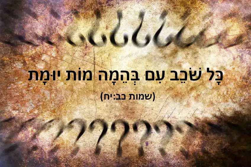 משכב בהמה בחוק המקראי ובחוק החתי