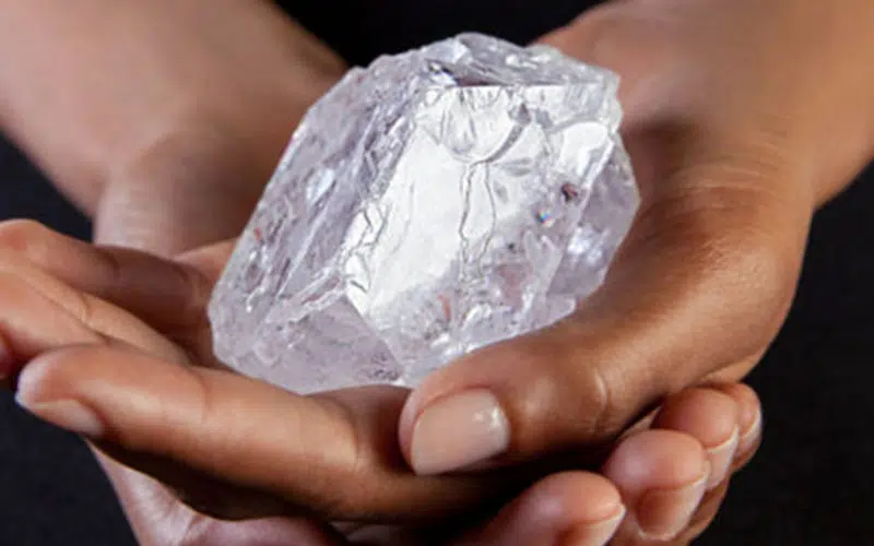 Il “Motswedi”: un gigante africano incanta l’Europa