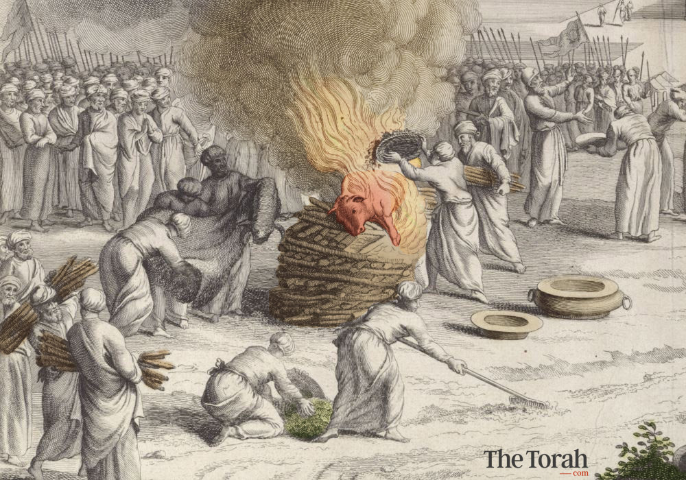 פרה אדומה: טקס הסבון